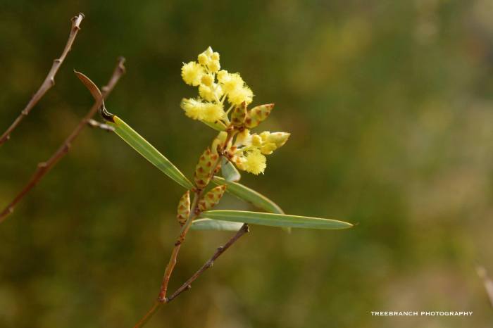 10295987_10202870140848268_4648595555227021657_o