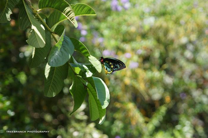 17991275_10211063105667268_3503648845415000155_o