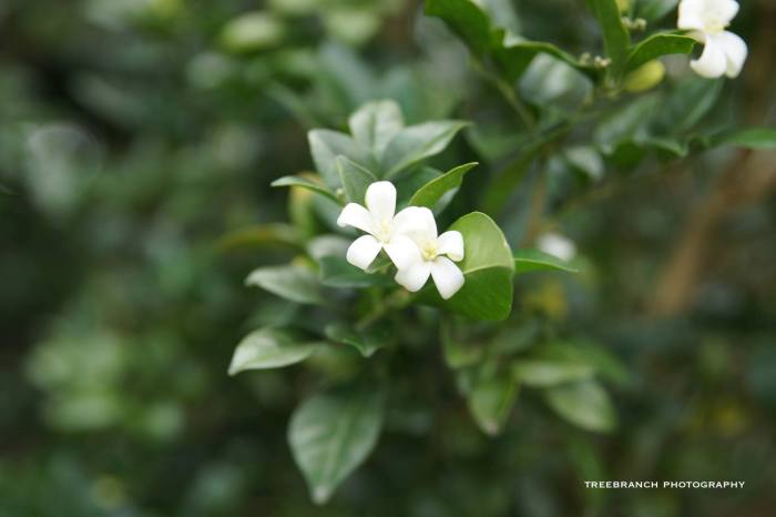 18076721_10211063103347210_2196699239494897250_o