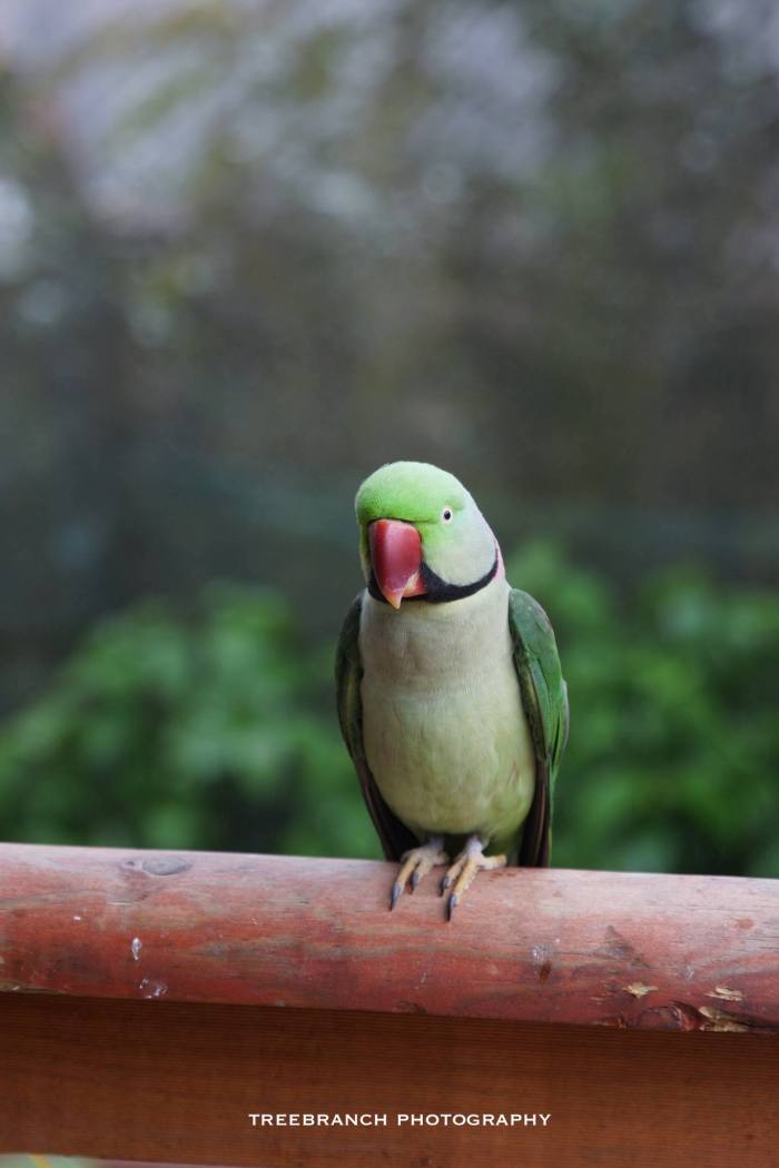 18076832_10211063406474788_8685934298666216425_o