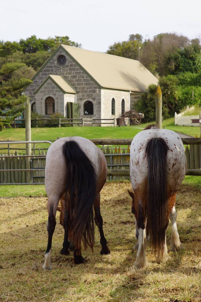 15370030_10209760051891738_2305909476011287601_o