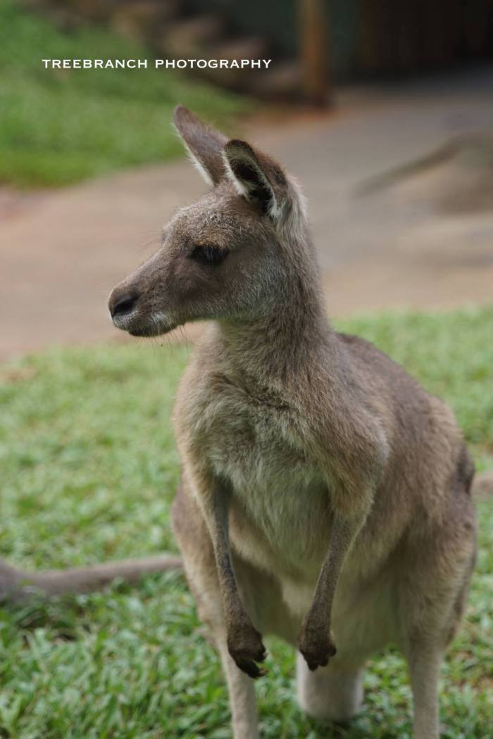 17991523_10211063248150830_7576426737662602827_o