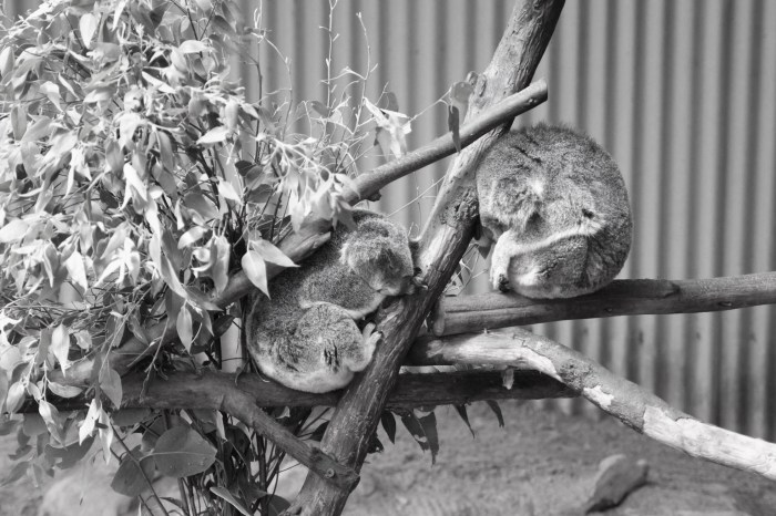 17991737_10211063298472088_1125011734184311012_o 2