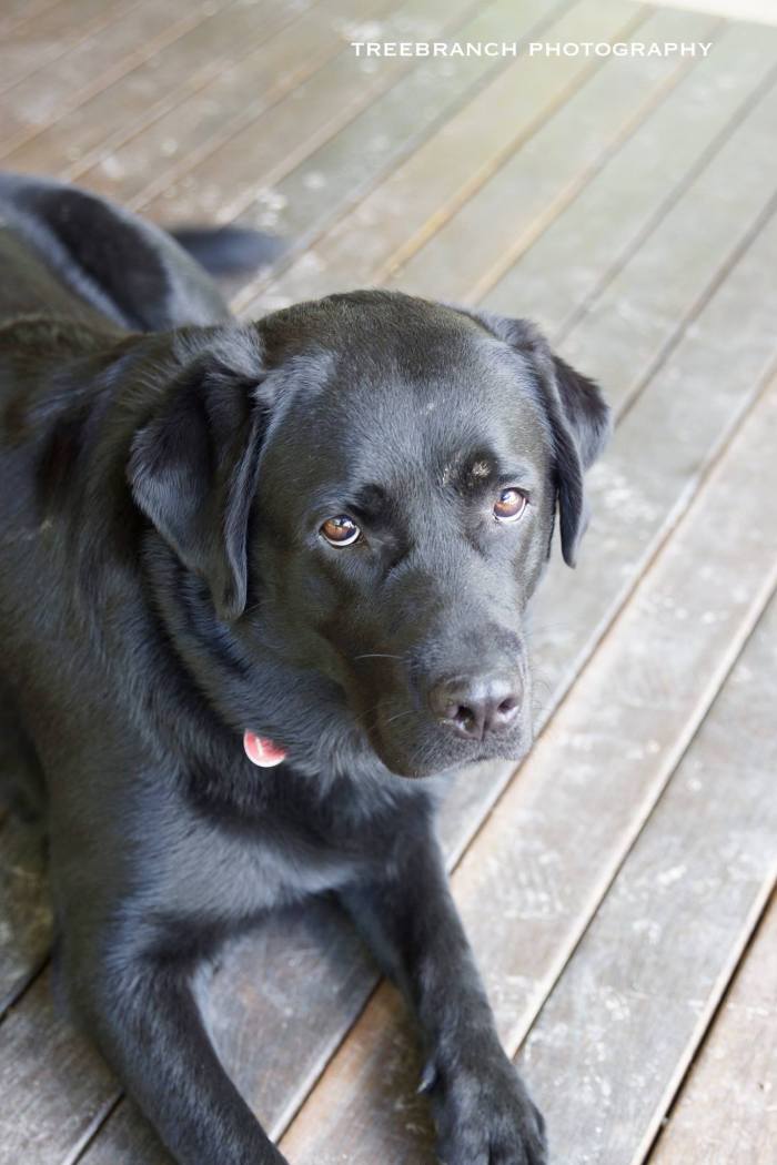 18156265_10211063104427237_5743463758083930805_o