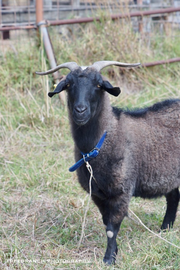 29315288_10213622507650718_2383689441777549312_o